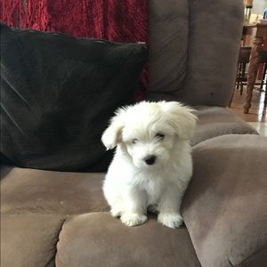 Meet your Posher, Dorene